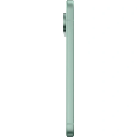 Смартфон Google Pixel 9 12/128GB Wintergreen