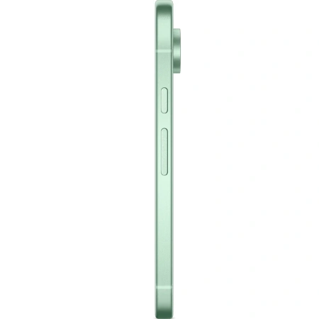 Смартфон Google Pixel 9 12/128GB Wintergreen